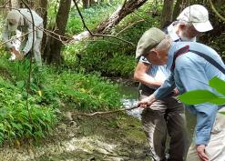 2018 Woolhope Club Geology Field Meeting around Woolhope Dome Bentonite layer